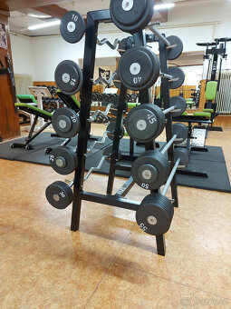 Bicepsová osa pevná váha (rovná, EZ) - NOVÁ - 12