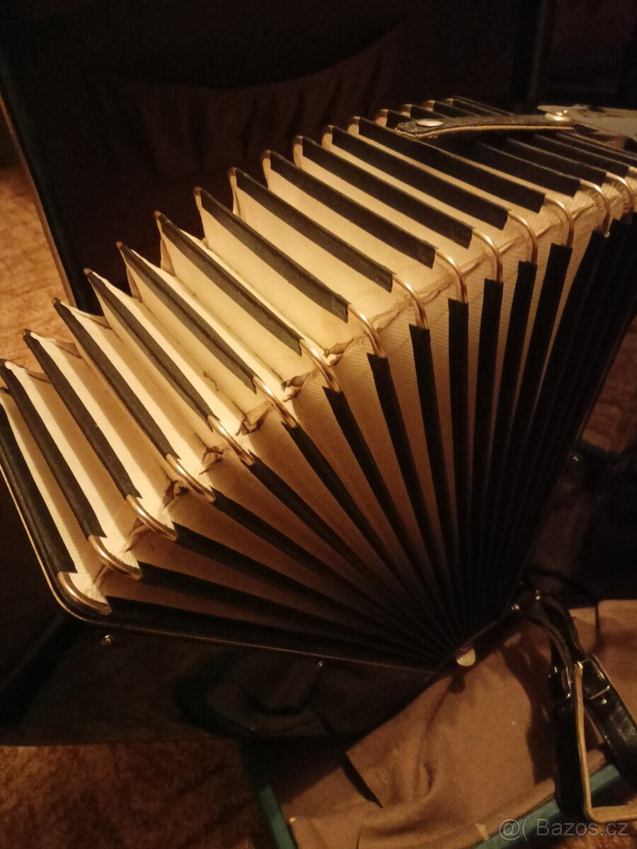 Akordeon LIGNATONE a Delicia - 13