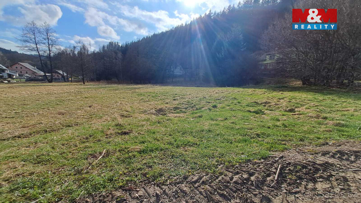 Prodej pozemku k bydlení, 992 m², Jindřichov - Pleče - 13