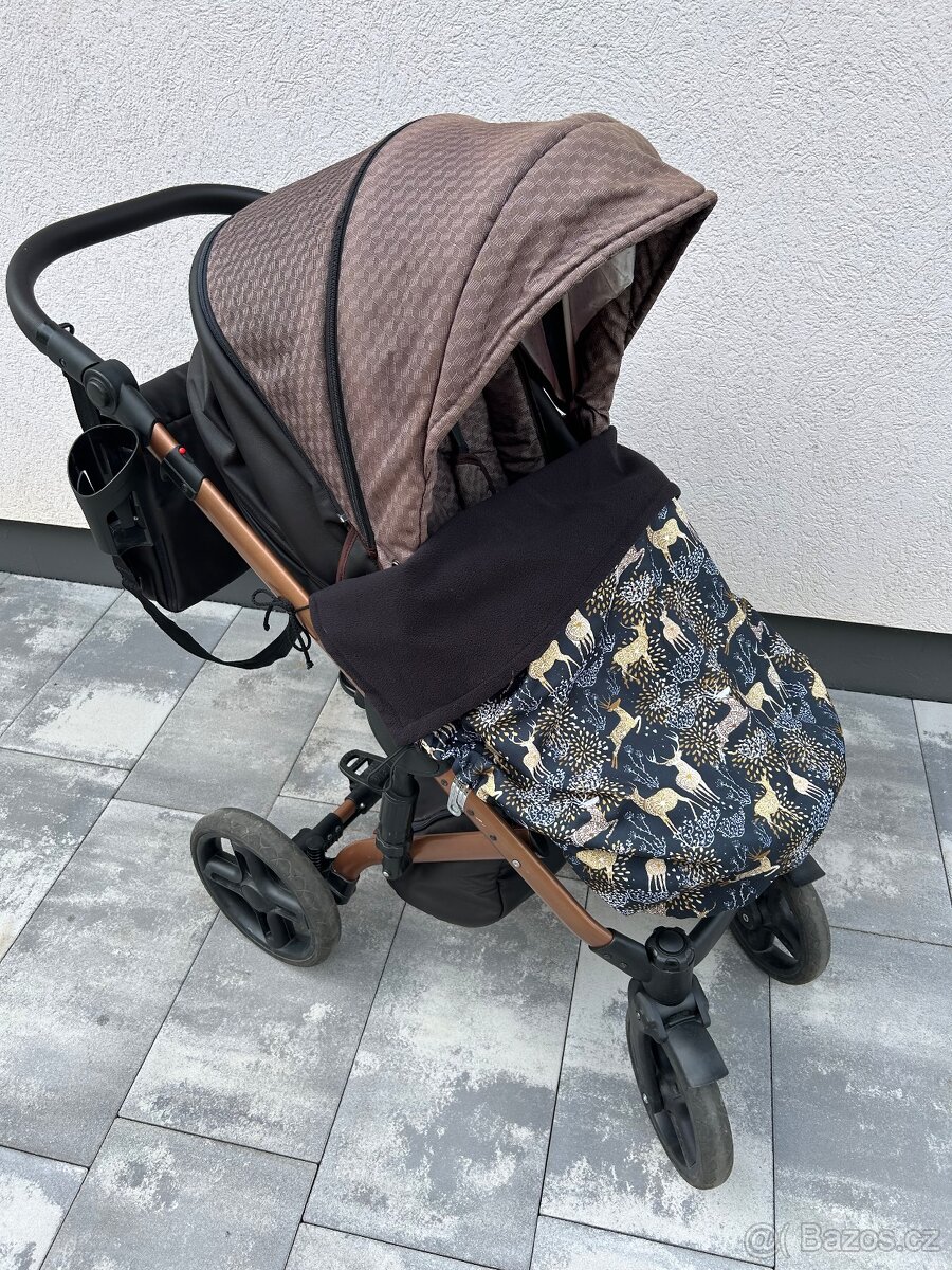 Tudore Ranger - 13