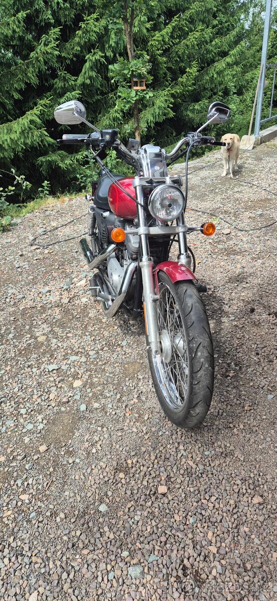 Harley Davidson 883 Sportster 2005 - 13