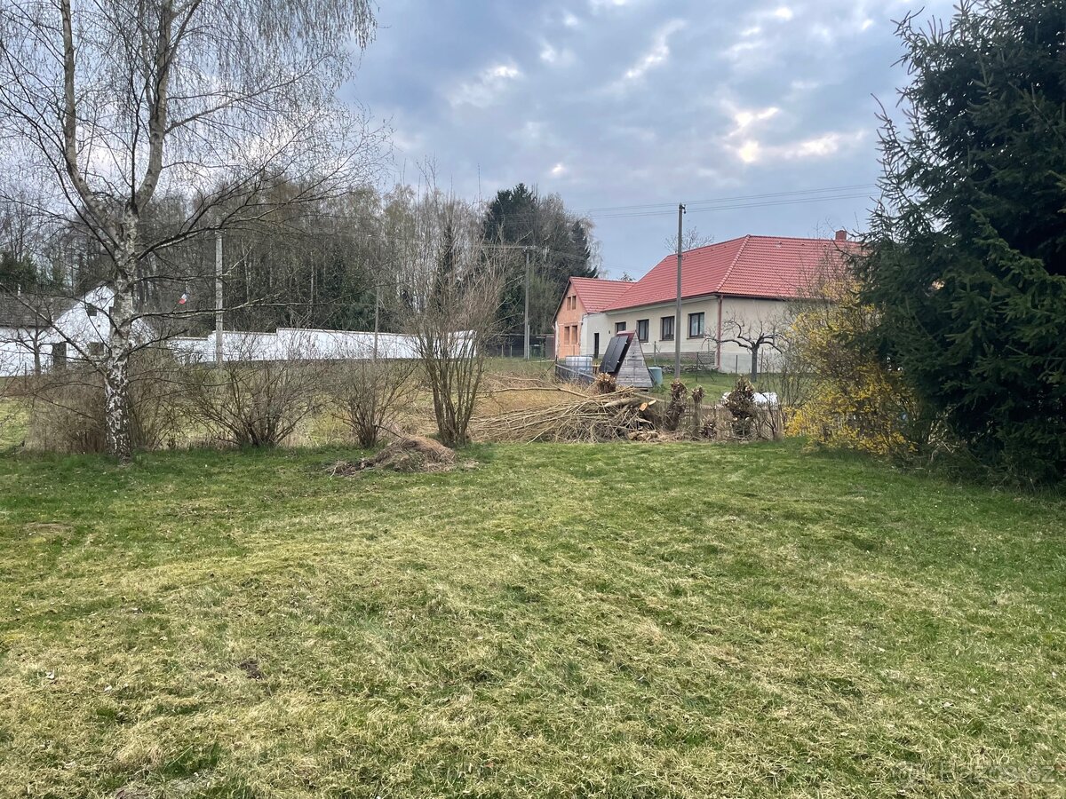 Fotka 13 z 19