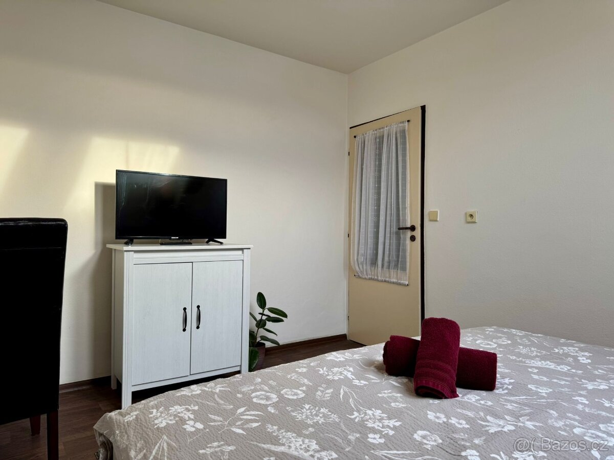 Pronájem pokoje 30 m² - 13