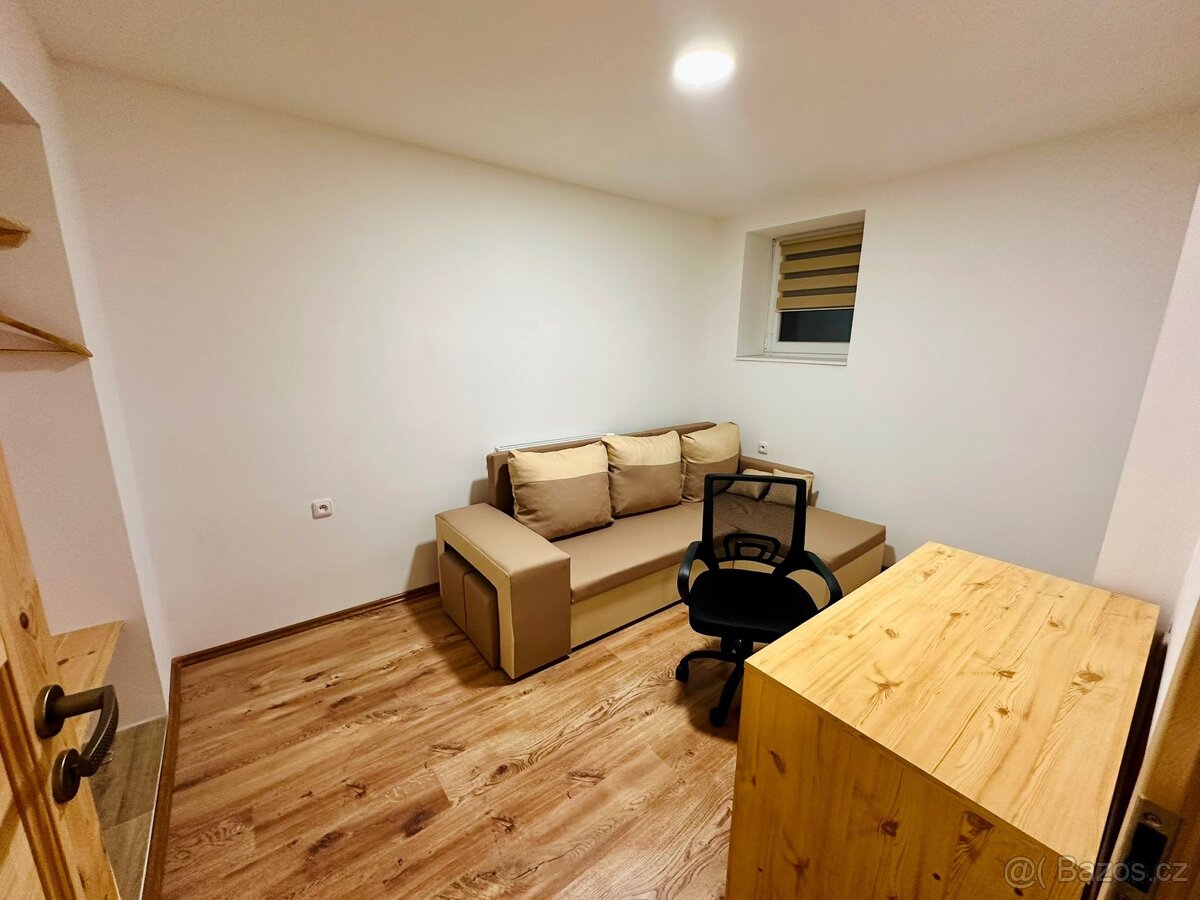 Pronájem - Apartmán Voděrady - 13