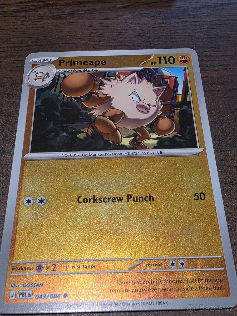 Pokemon - 13