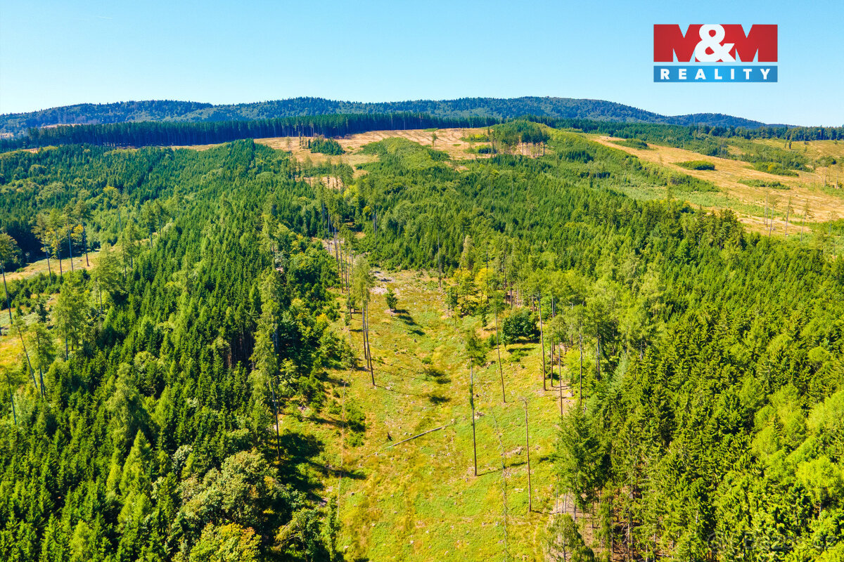 Prodej pozemku k bydlení, 7125 m², Pec - 13