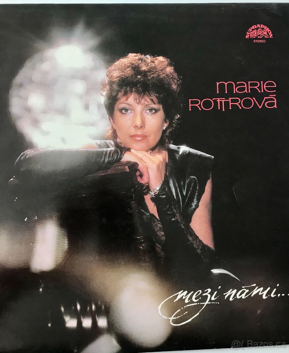 Gramofonove desky - 13