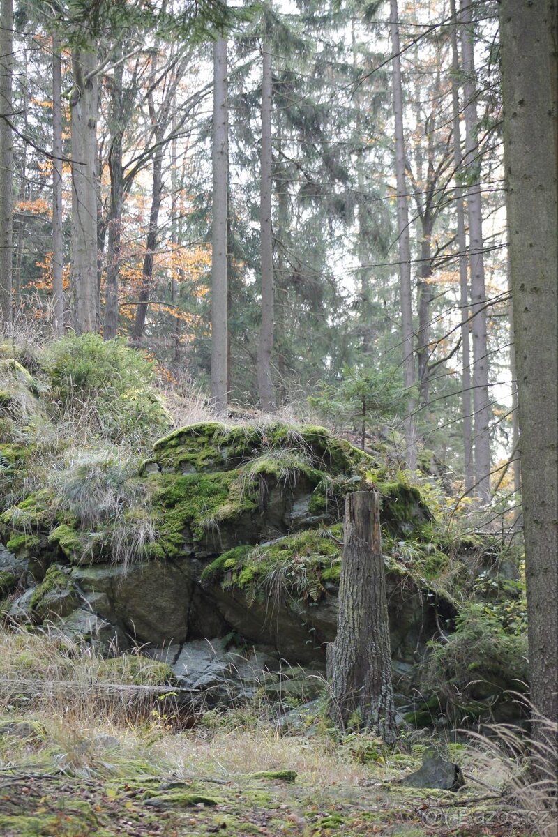 Canon EOS Rebel T3 - 13