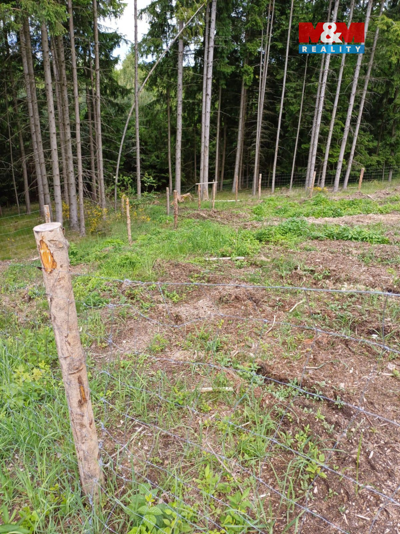 Prodej lesa, 9634 m², Hrazany - 13