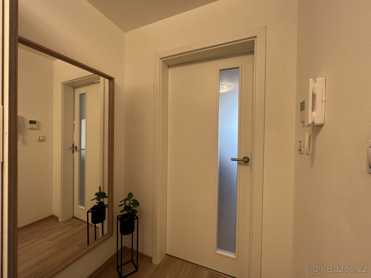 Prodej bytu 1+kk, Řípská, Slatina, 39 m2 - 13