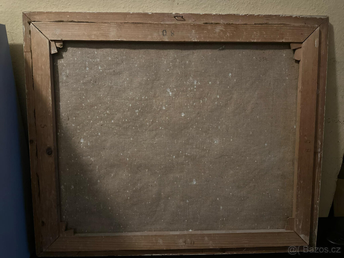 Starožitný obraz D. Čížkové - 13