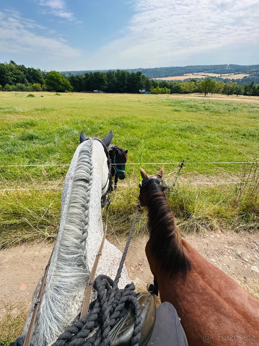 Hodná osmiletá ponička - 13