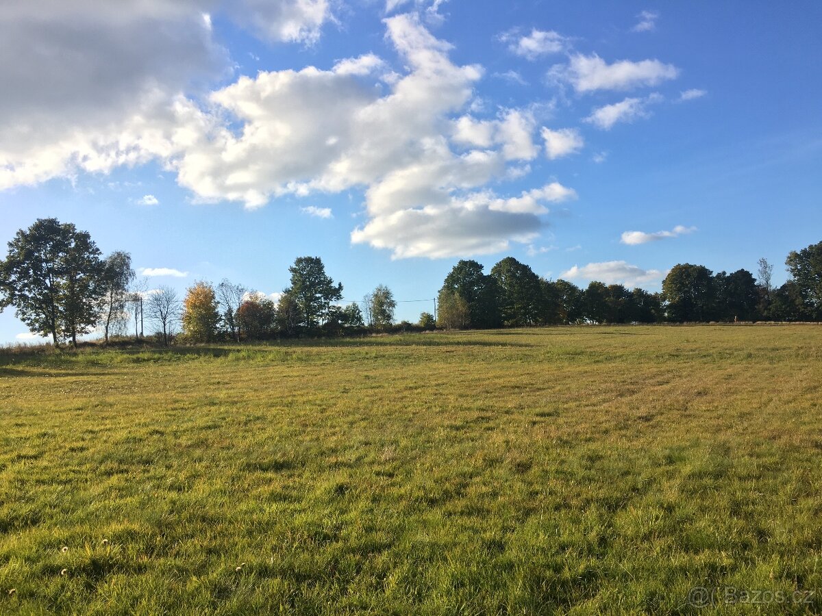 Ustájení koní - 13