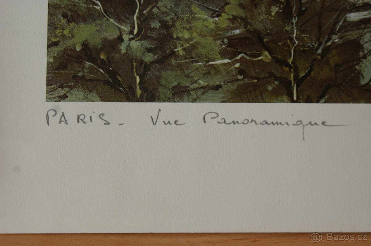 knihy a obrazy, třeba někoho ještě potěší - 13