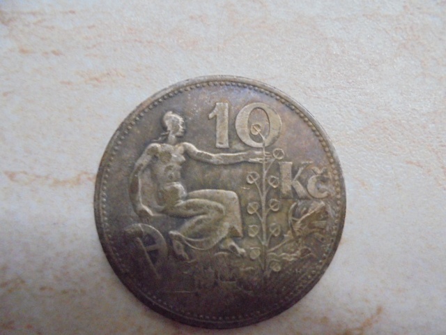 mince - 13