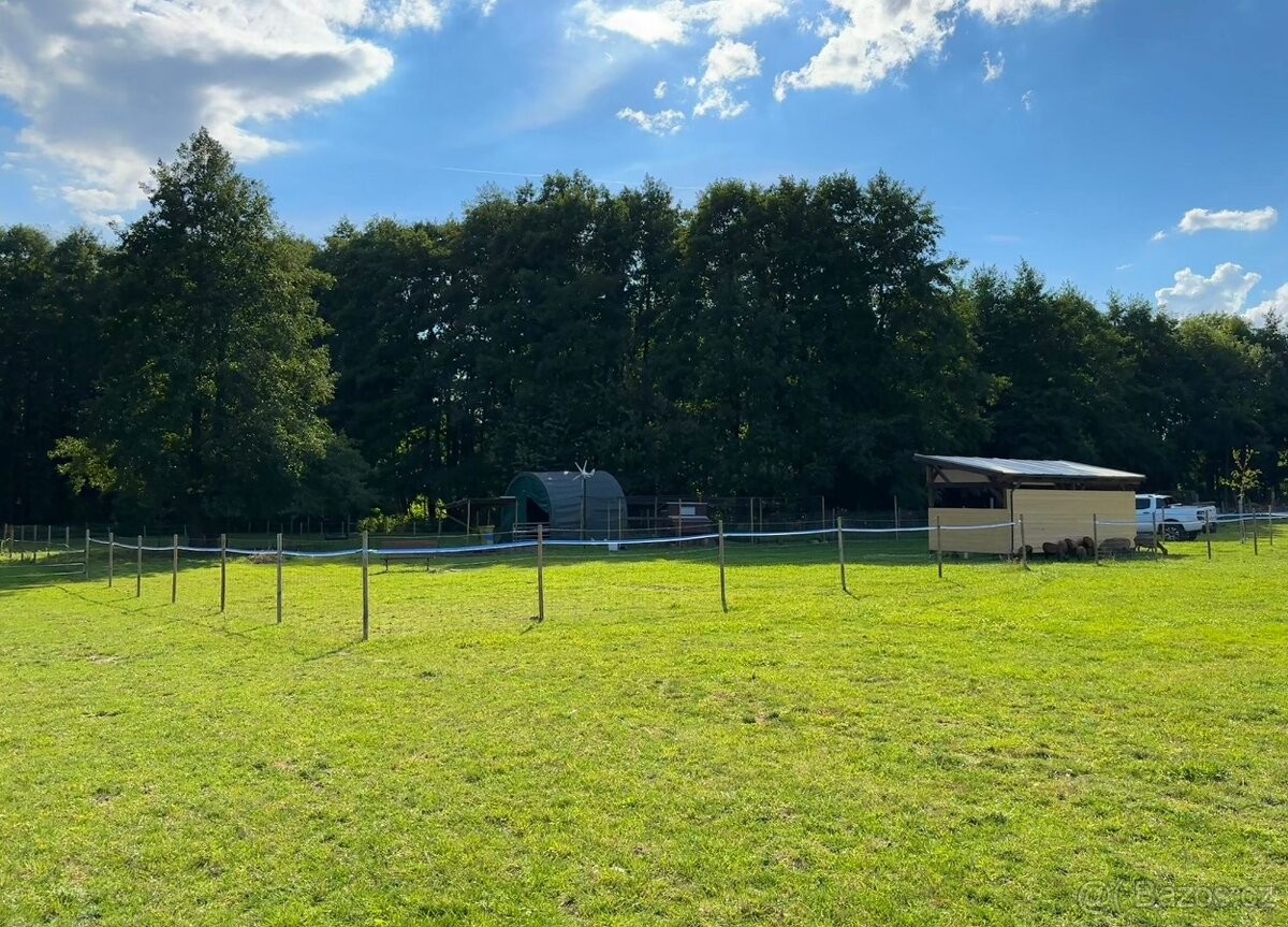 Pozemek 13.969 m2 s hospodářstvím - 13