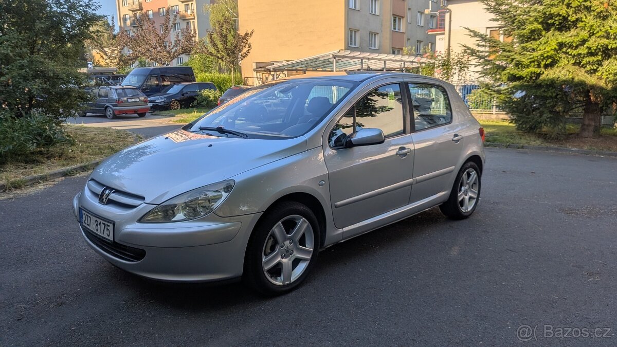 Peugeot 307 - 13