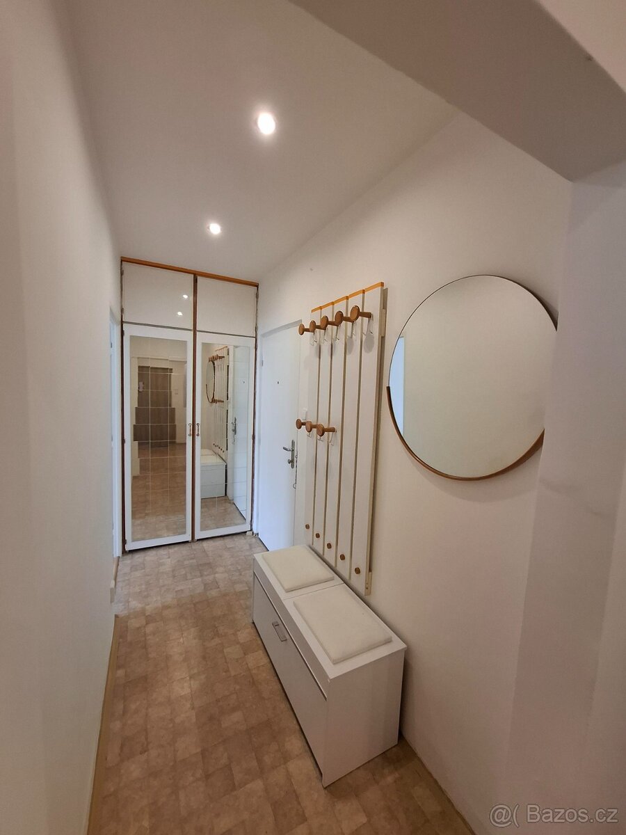 Pronájem bytu 3+1 Lutín - 13