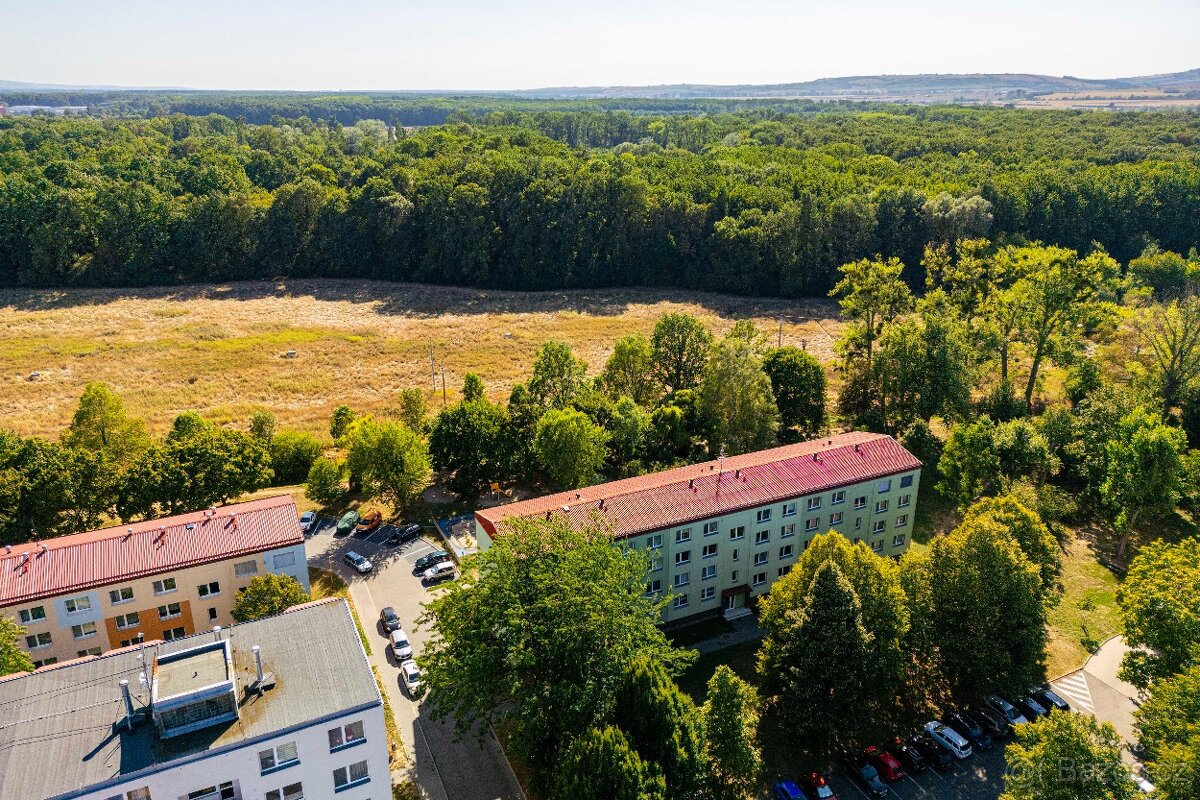 Prodej bytu 1+1 Uherské Hradiště - 13