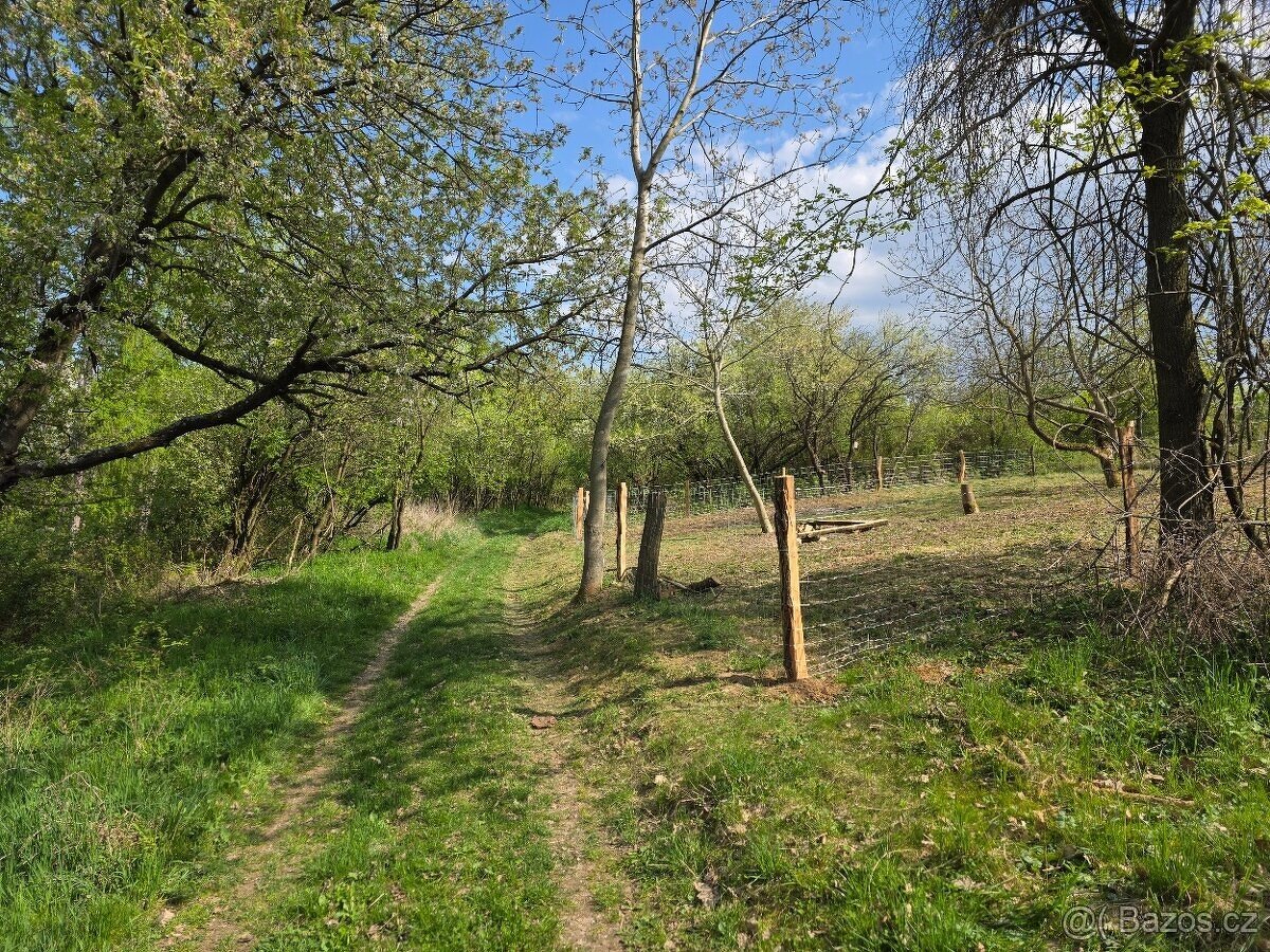 🌿 PRODEJ ZAHRADY – Újezdec u Osvětiman - 13
