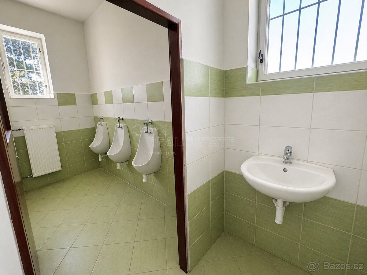 Prodej, chalupa 192 m2, Kříšťánovice - 13
