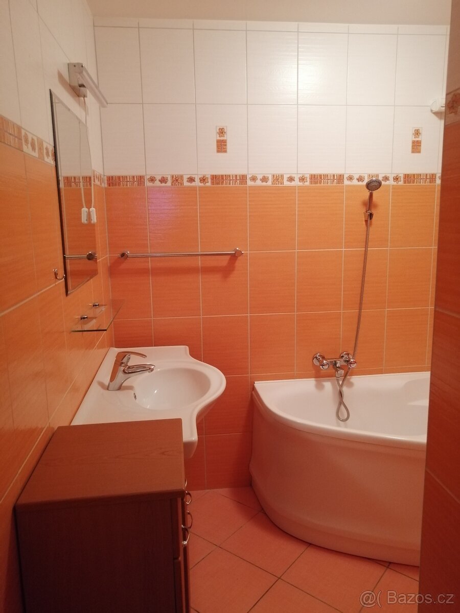 Prodej bytu Moravský Beroun. - 13