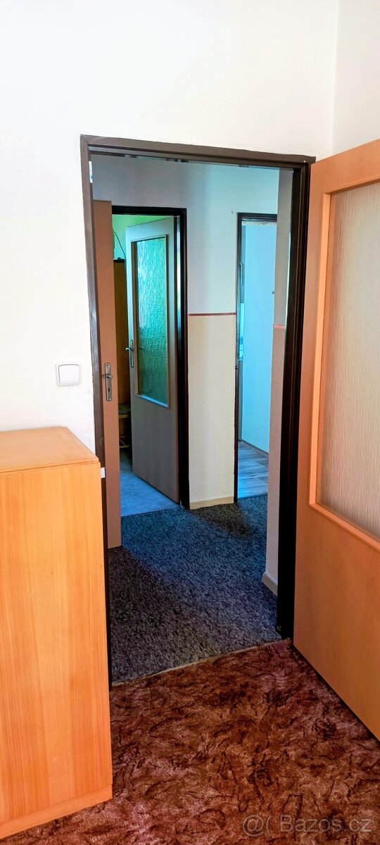 Prodám družstevní byt 3+1 Jeseník - 13