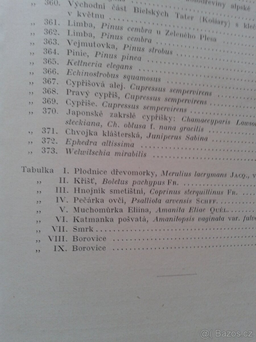 svázaný ročník 1912 časopisu SVĚTOZOR + Botanika + Antika - 13