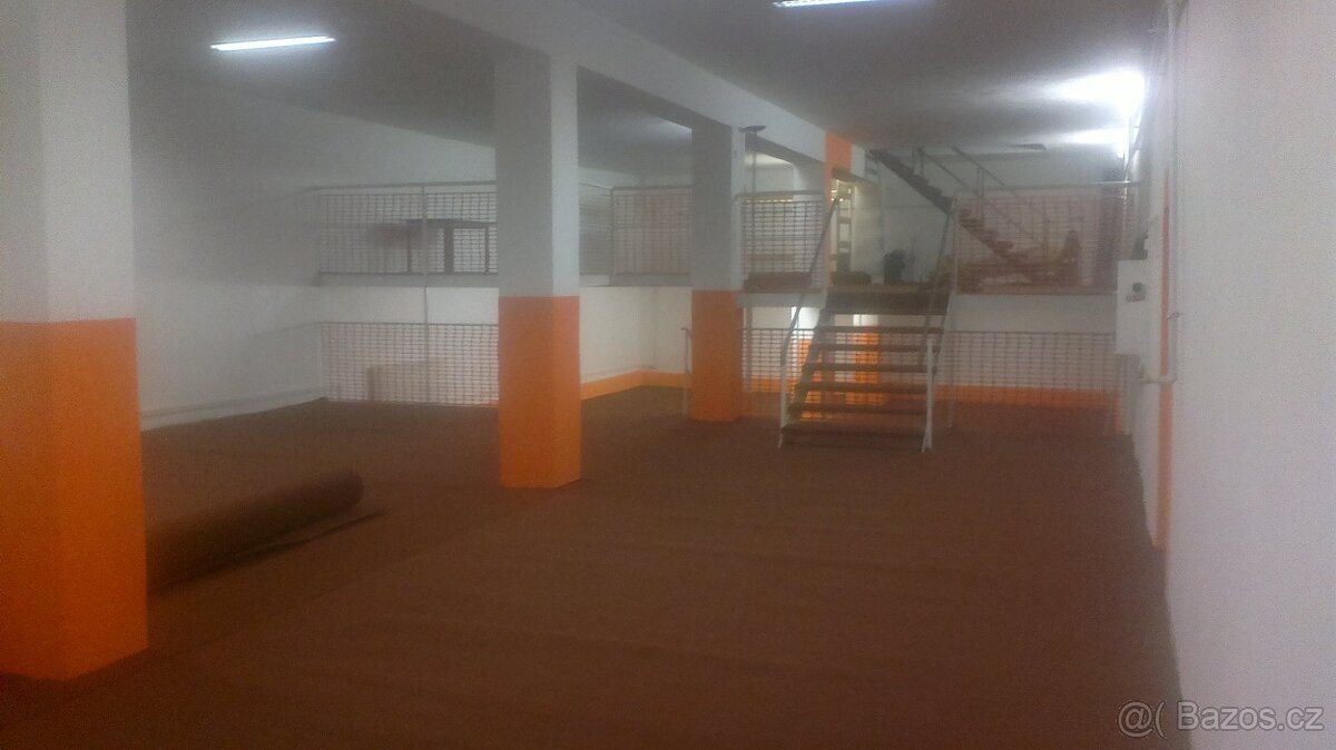 Pronájem nebytových prostor. - 13