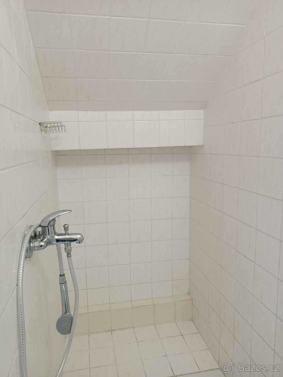 Pronájem velkého bytu 1+kk - 13