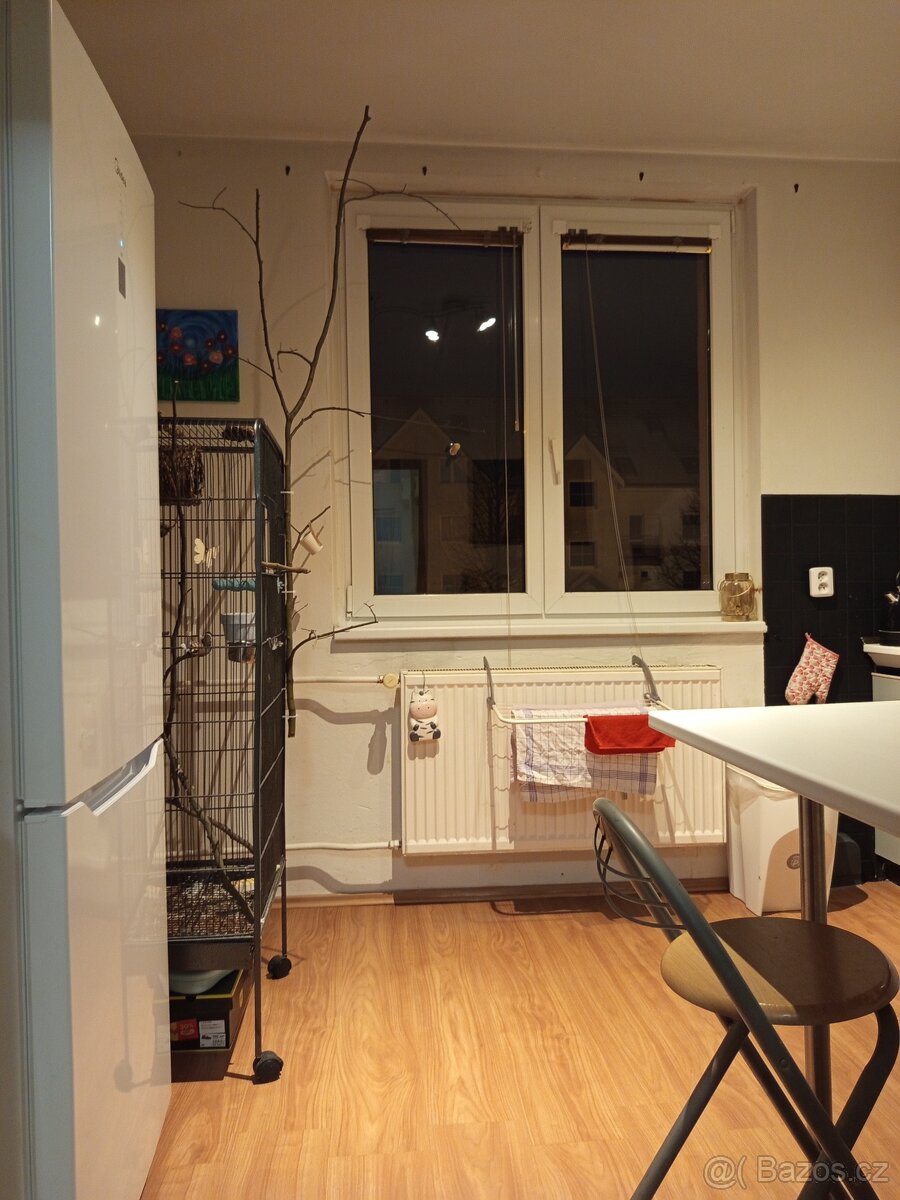 Pronájem bytu - 13