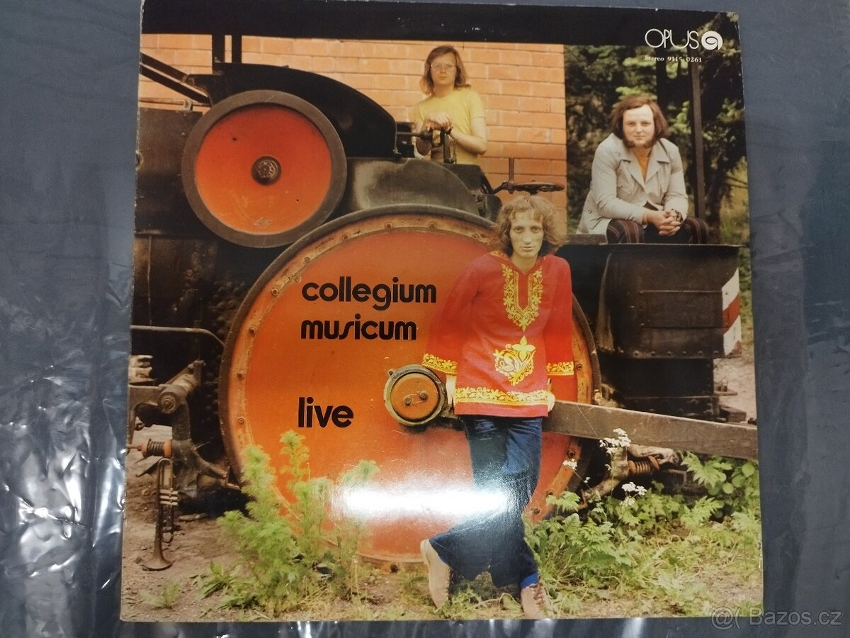 Prodám LP desky - 13