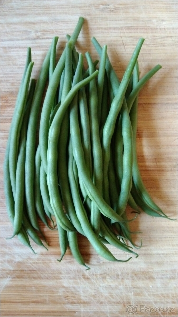 Semínka fazole, hrách - různé druhy - 13