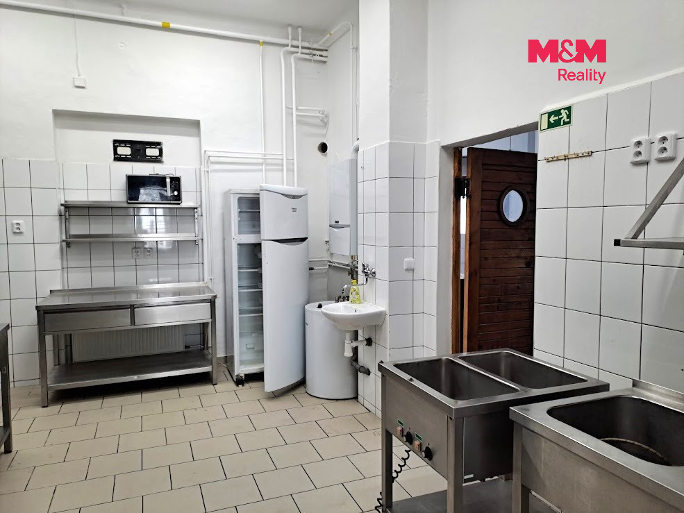 Pronájem obchodního prostoru, 221m2, ul. Riegrova, Brno - 13