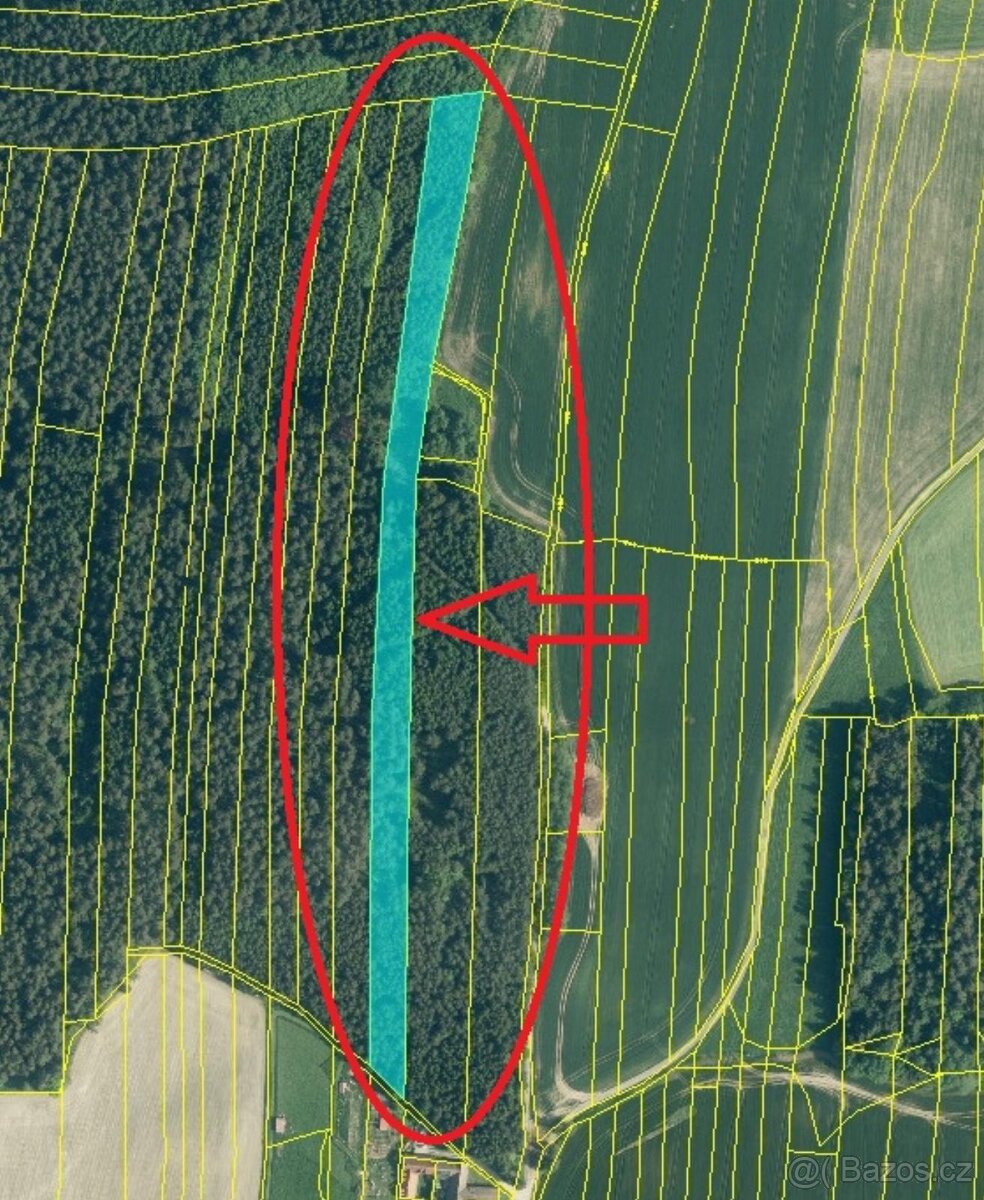 Prodám lesní pozemky v k.ú. Nesměň u Ločenic - 13