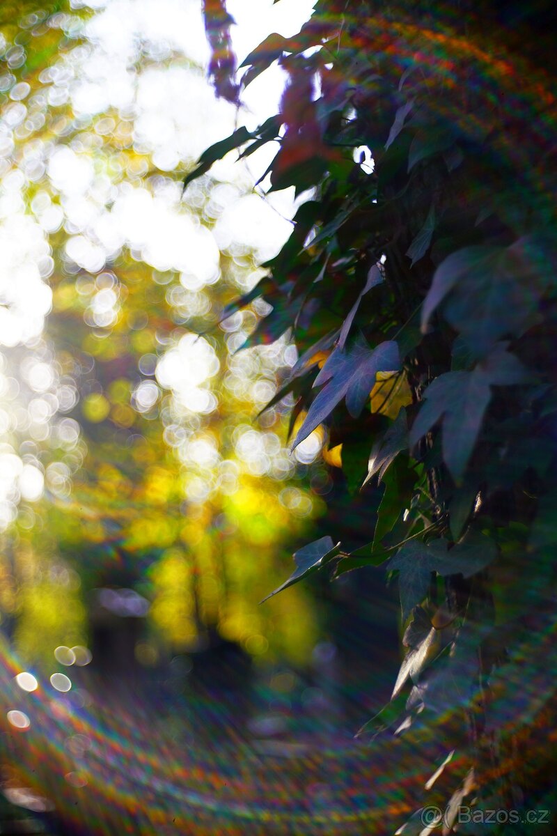 Objektiv Trioplan 50 f2.9 Meyer-Optik Görlitz / Exa - 13