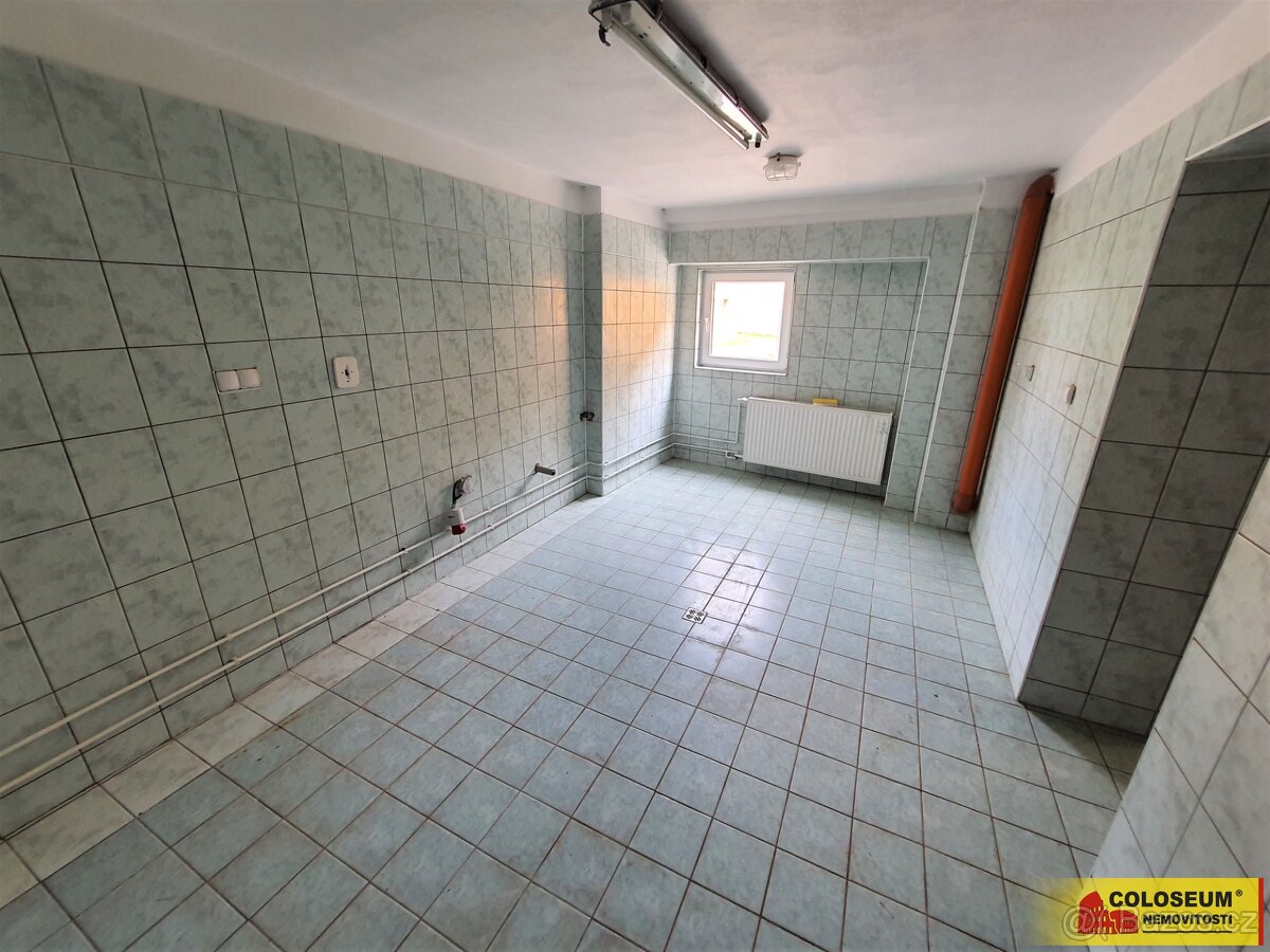 Studnice ( okr.Vyškov , pronájem studia 1+kk, 19 m2 - byt - 13