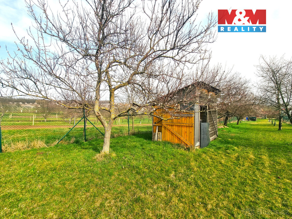 Prodej ovocného sadu, 4096 m², Starý Poddvorov - 13