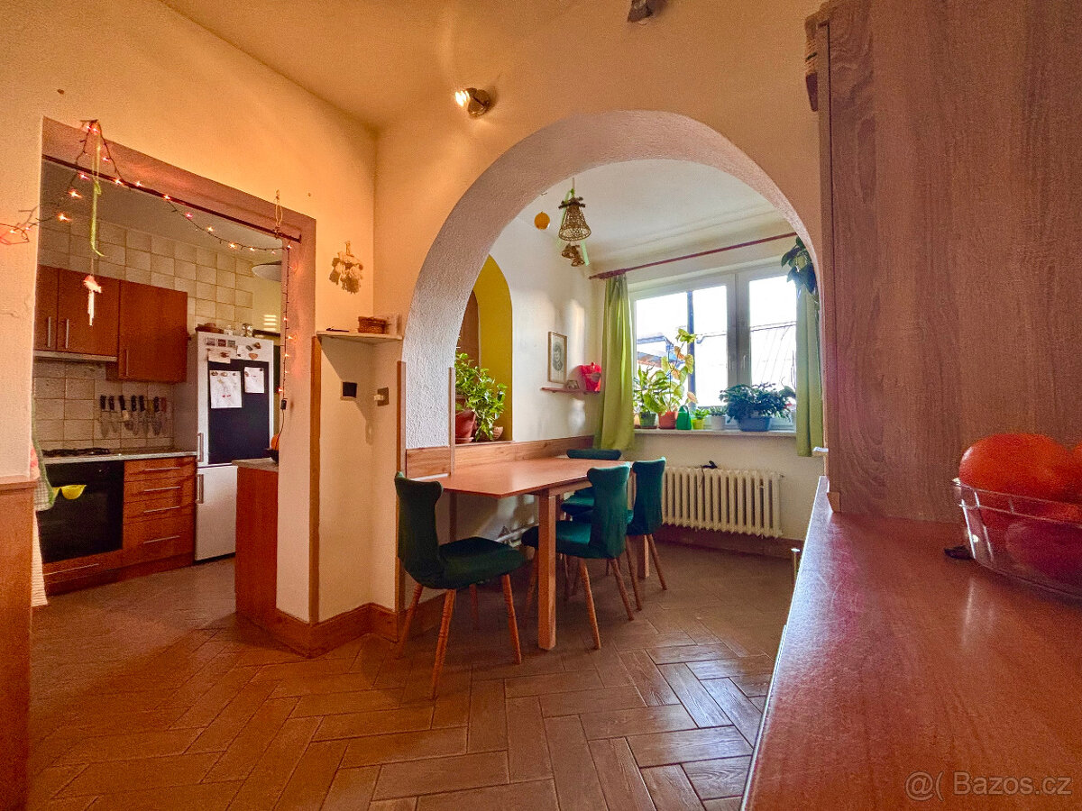 RD Opatovice 10 minut od Brna - 13