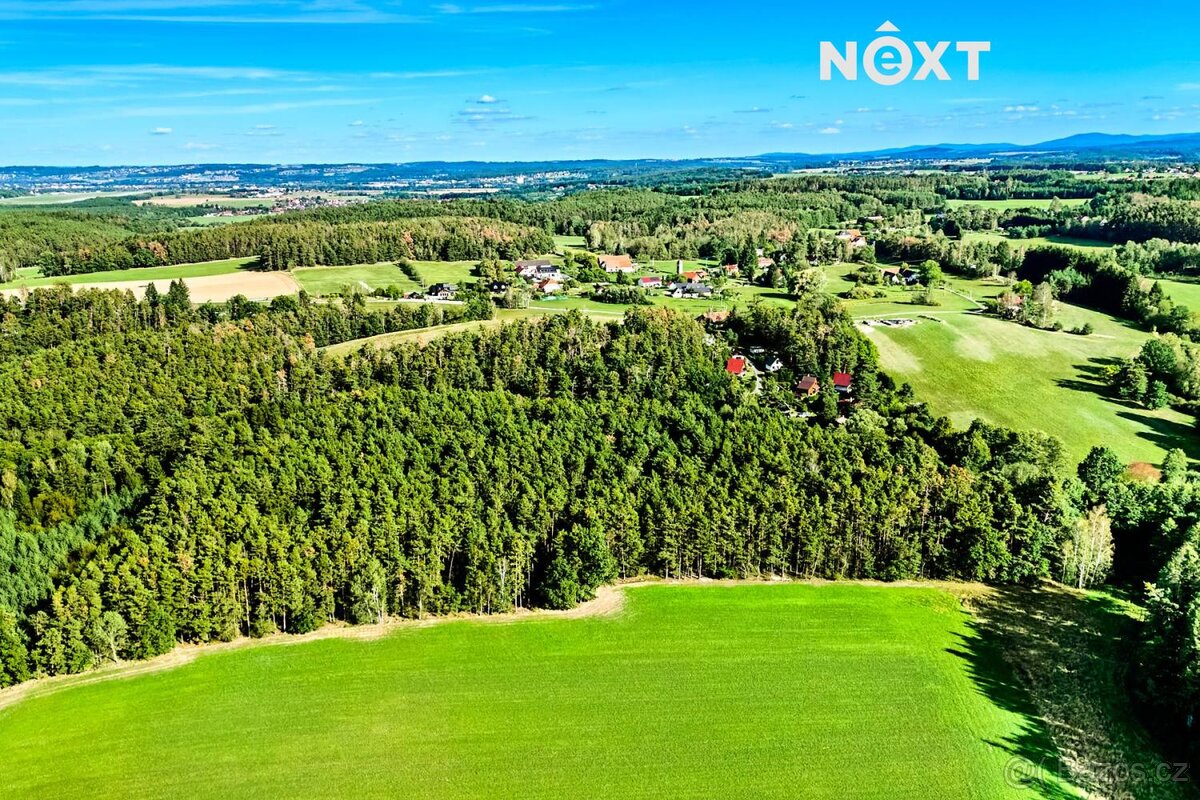 Prodej pozemek Lesy, 13404㎡ - 13