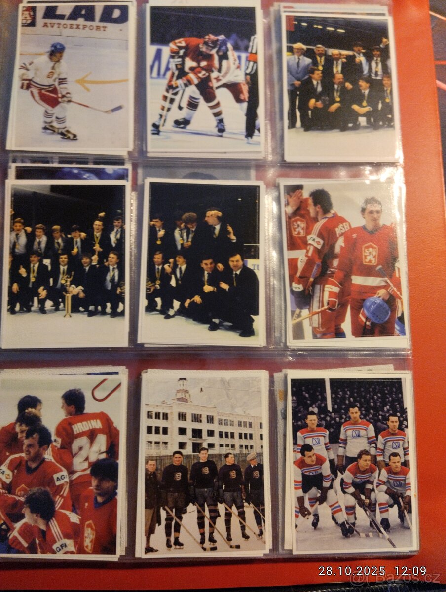 Hokejové kartičky - 13