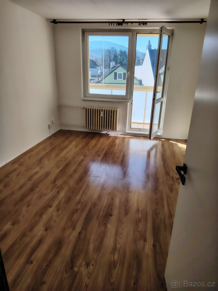 Pronájem bytu 2+1 - 13