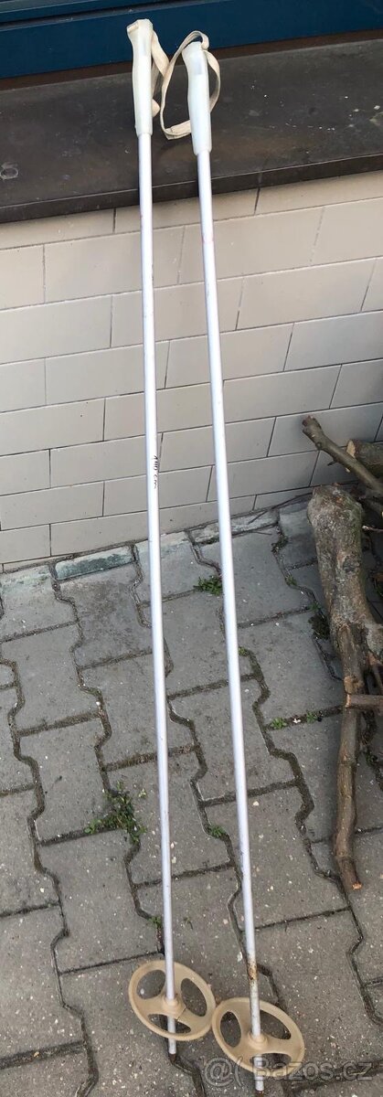hůlky různé druhy - 13