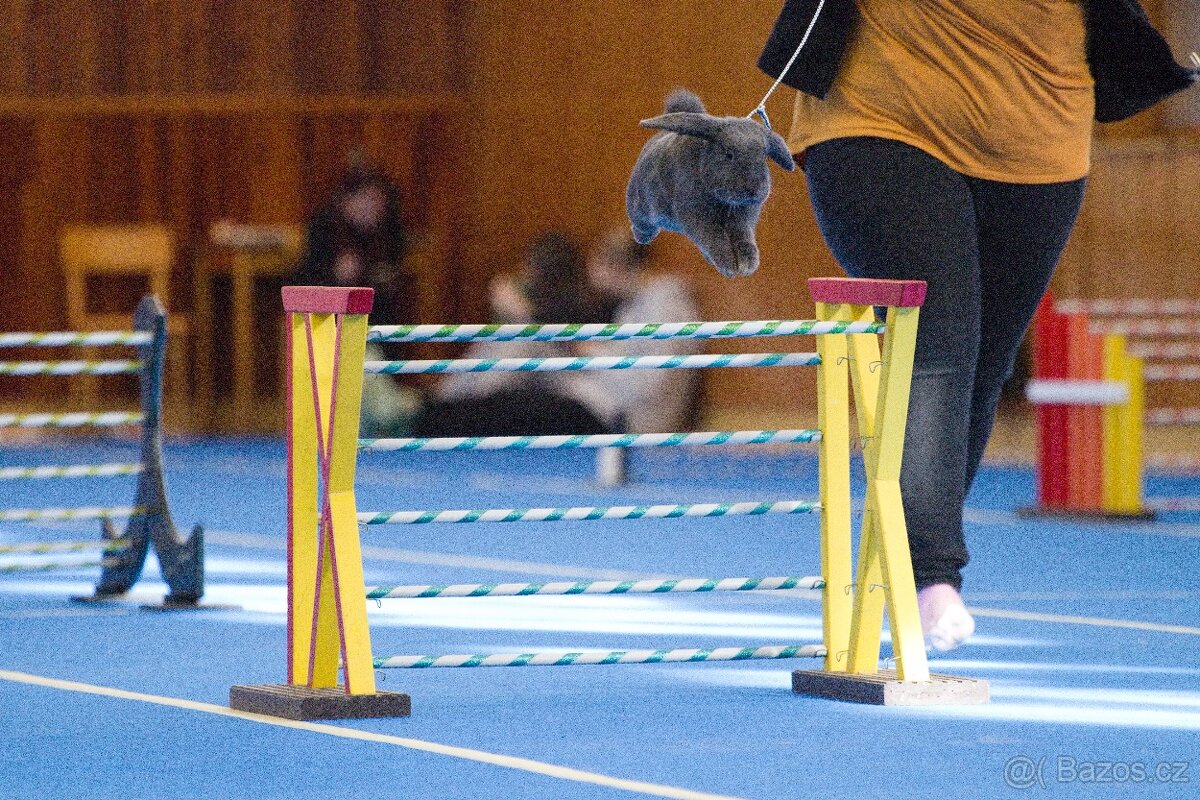 Předvedení králičího hopu - 13