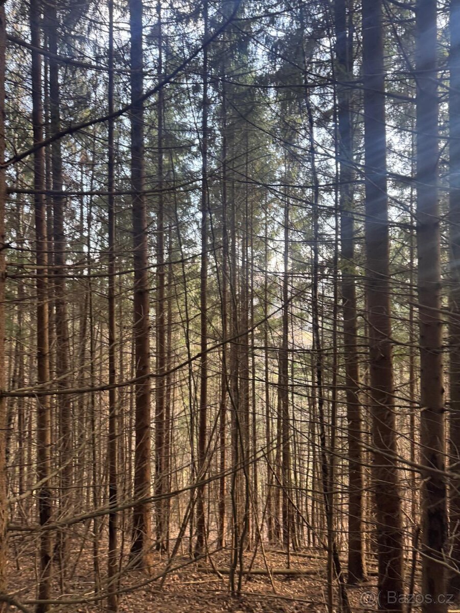 Prodej pozemků k.ú. Huslenky - 13