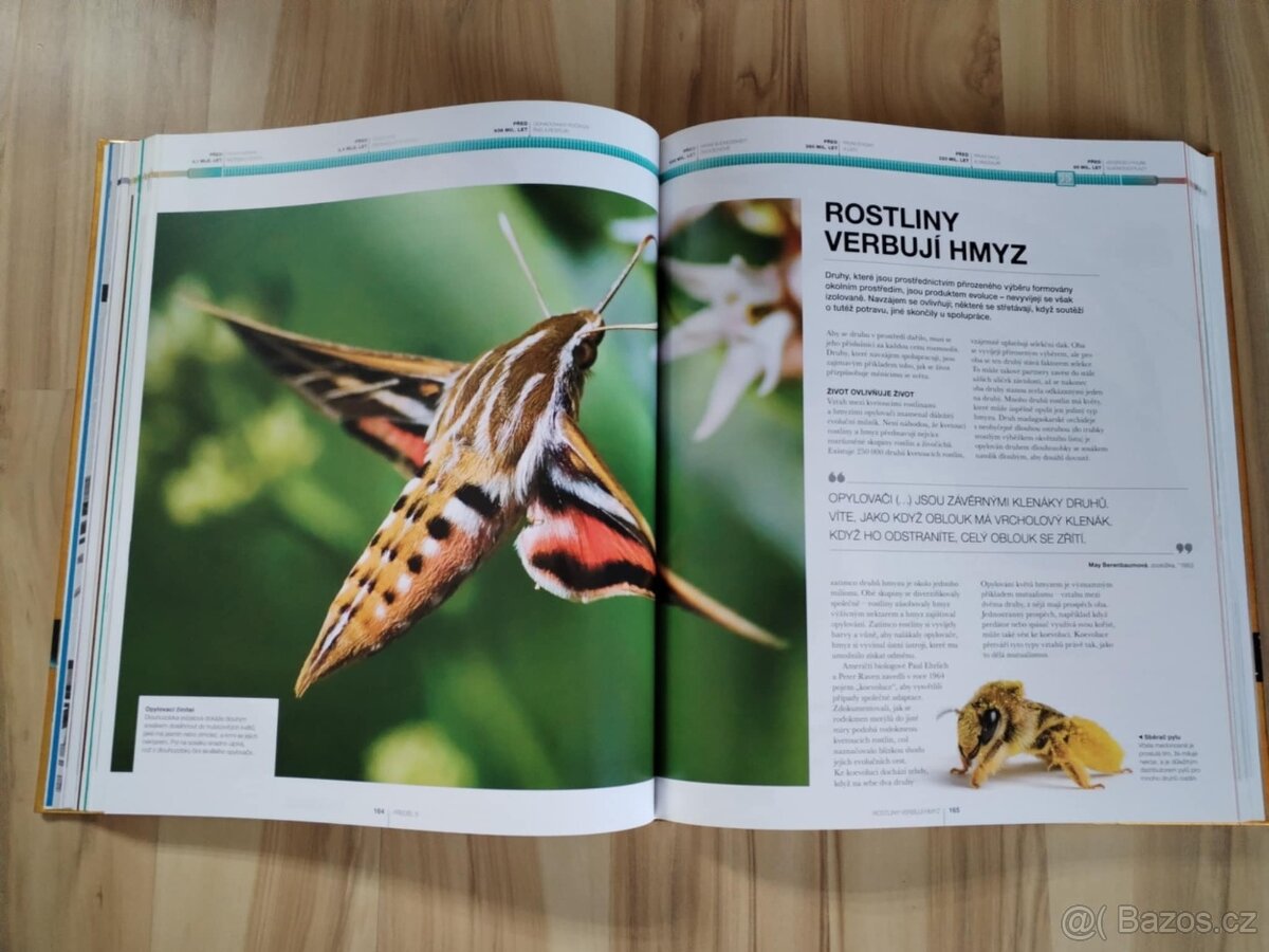 Velké dějiny: Od velkého třesku po současnost - 13