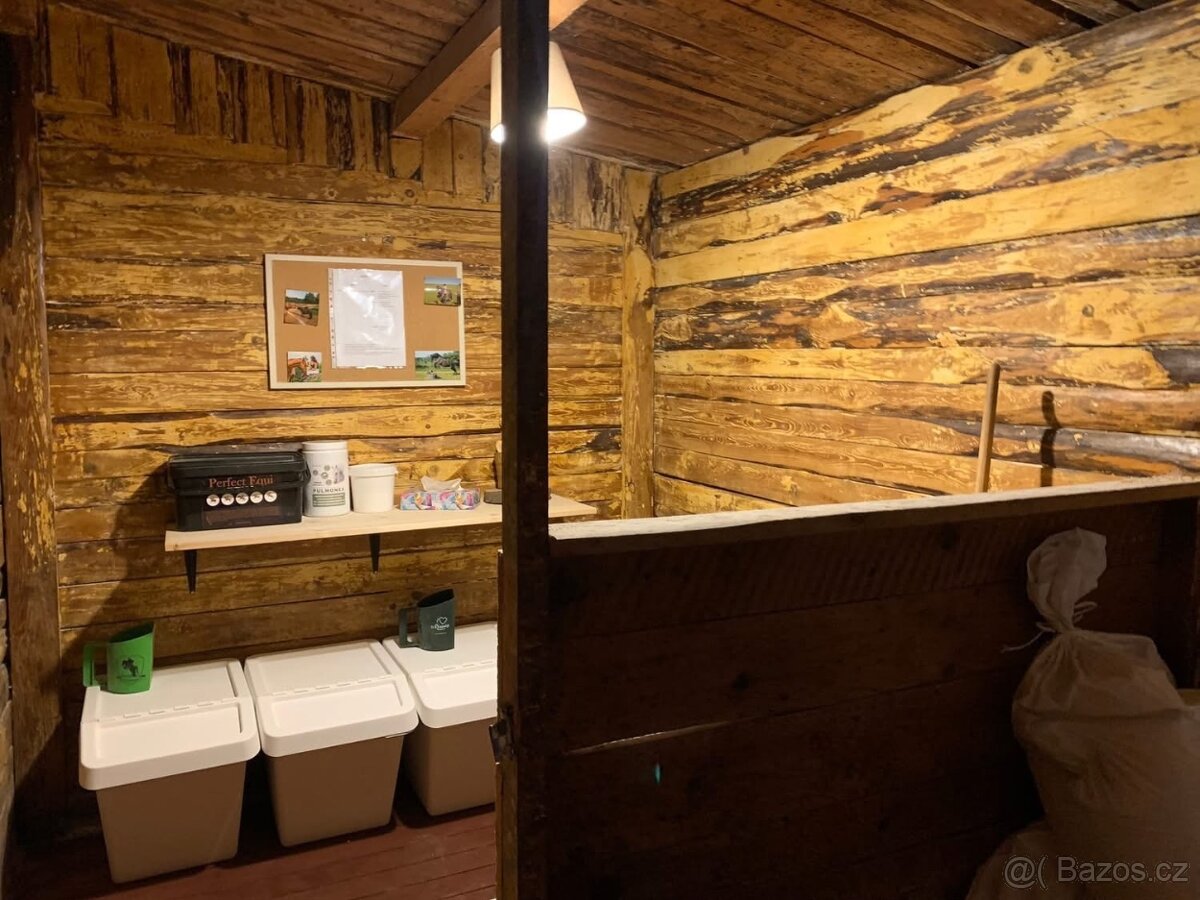 Nabízím ustájení 24/7 v Karviná - Louky - 13