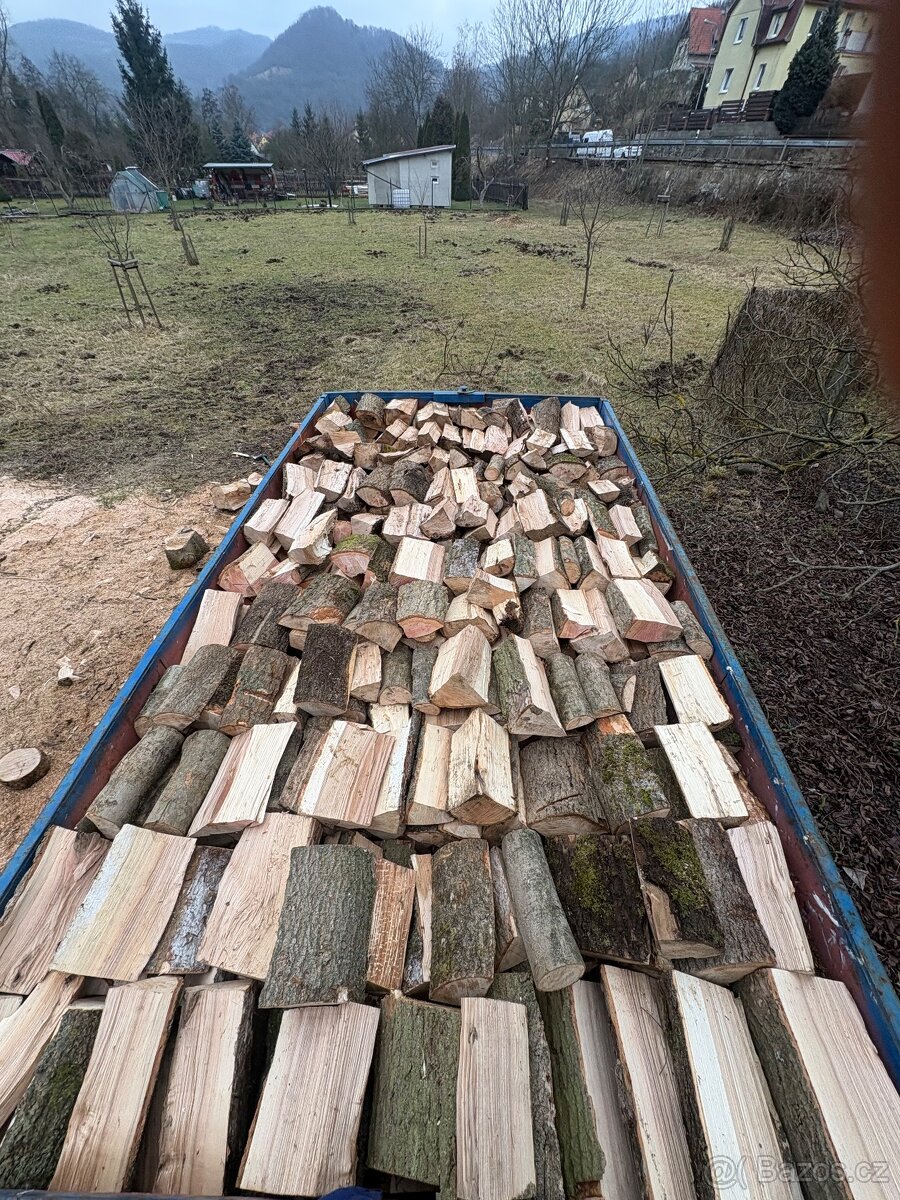 Palivové Dřevo Jasan - 13