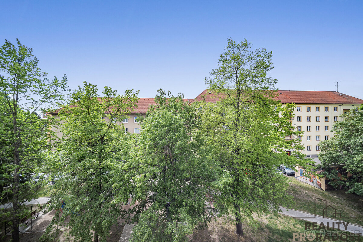 Prodej bytu, 3+1, Pardubice - 13