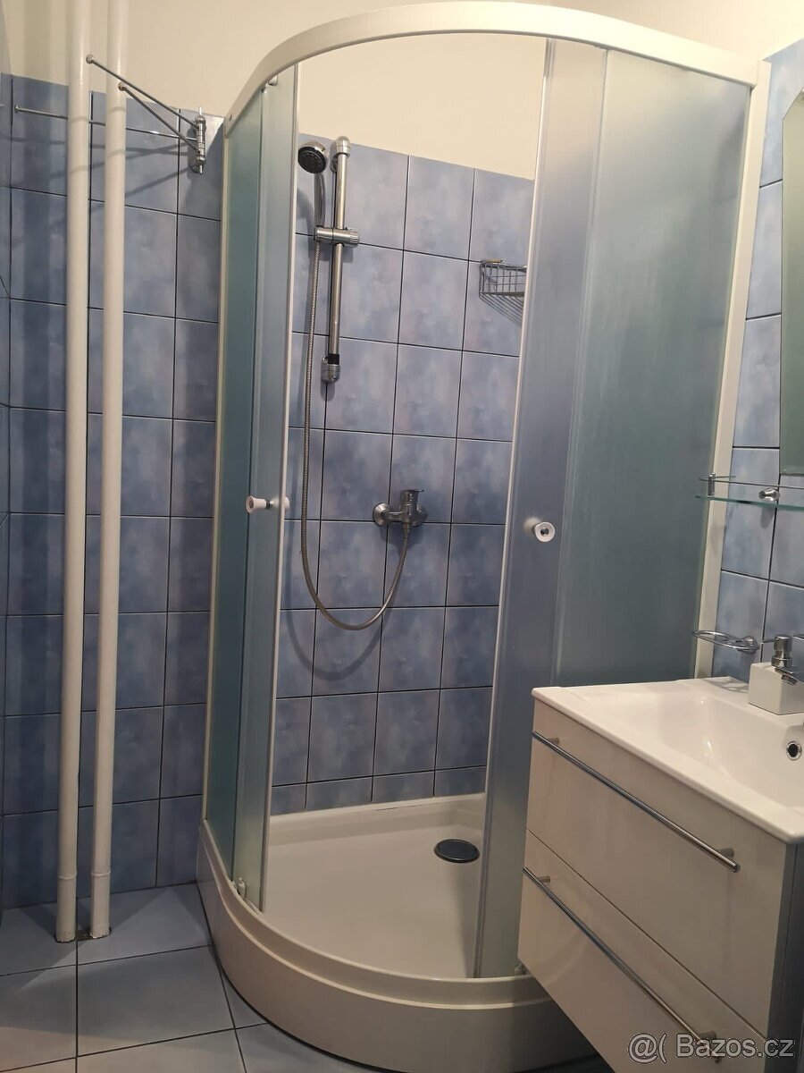 Pronájem bytu 2+1 Vsetín-Luh - 13